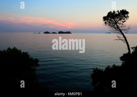 Sommer Sonnenuntergang über der Bucht Lapad Lapad Strand, Stadt, Dubrovnik, Dalmatinische Küste, Adria, Kroatien, Europa. Stockfoto