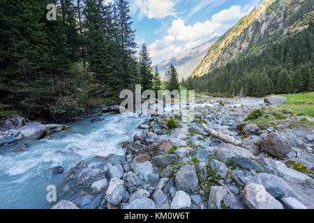 Mountain River und Bäume Landschaft Natur. Wandern in den Alpen. Grawa Wasserfall im Stubaital, Tirol, Österreich Stockfoto