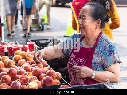 Seattle, Washington, USA - 4. September 2017: eine asiatische Frau sind Auswahl und Verkauf Pfirsiche an Farmers Market in Pike Market in Seattle Hafen, Waschen Stockfoto
