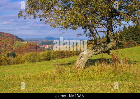 In zacler Riesengebirge im Herbst, Böhmen Stockfoto