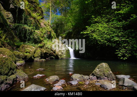 Plas Cadnant Garten Stockfoto