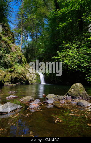 Plas Cadnant Garten Stockfoto