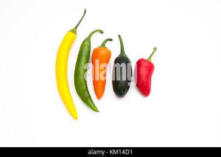 Bunte Paprika isoliert auf weißem Hintergrund Stockfoto