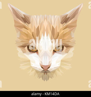 Cat Low Poly Design. Dreieck Vector Illustration. Stockfoto