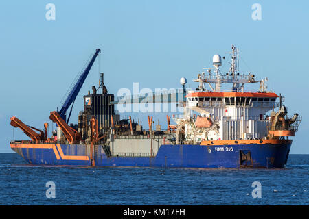 Trailing Suction Hopper Schwimmbagger Schinken 316 Betrieben von Van Oord, eine niederländische Firma mit einer der weltweit größten Flotten ausbaggern. Stockfoto