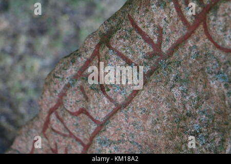 Wikinger Runenstein closeup Stockfoto