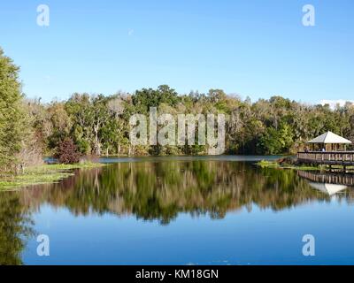 USA, Florida, Gainesville. Paynes Prairie State Park Reflexion Bewahrung von Bäumen, Himmel in Alachua See, wo Wasser zurück in den Floridan Aquifer läuft Stockfoto