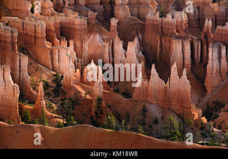 Bryce Canyon NP, Utah, USA, von Bruce Montagne/Dembinsky Foto Assoc Stockfoto