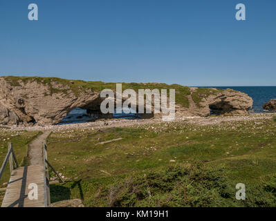 Bögen, die Bögen Provincial Park, Highway 430, Neufundland, Kanada. Stockfoto