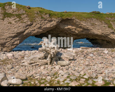 Bögen, die Bögen Provincial Park, Highway 430, Neufundland, Kanada. Stockfoto