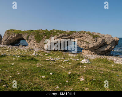 Bögen, die Bögen Provincial Park, Highway 430, Neufundland, Kanada. Stockfoto