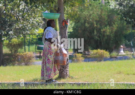 Lokale Frau trägt das Mittagessen bei Sajjan Nivas park Udaipur Indien. Stockfoto