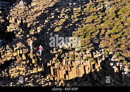 Die Giants Causeway, Co. Antrim, Nordirland. Blick von der Klippe am sechseckigen Basaltsäulen des Grand Causeway Stockfoto