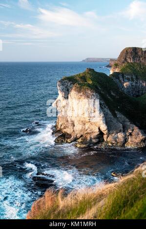 Die Giants Head Kalksteinklippe ist ein Wahrzeichen bei den White Rocks bei Portrush, Nordirland. Blick nach Osten auf die Landzunge des Giants Causeway Stockfoto