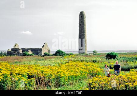 Scattery Island, County Clare, Irland. Keltische christliche St.-Senan-Kathedrale und Rundturm Stockfoto