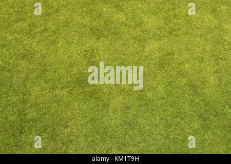 Grass Textur Stockfoto