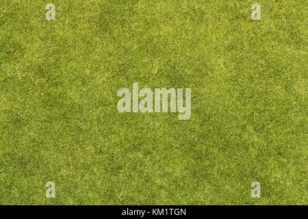 Grass Textur Stockfoto