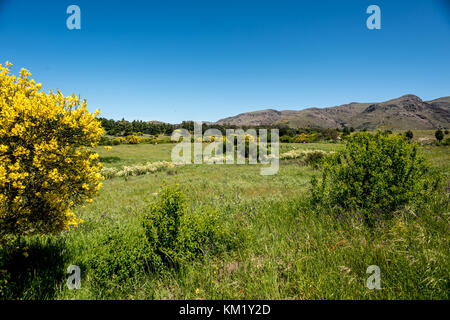 Sierra de la ventana, Argentinien Stockfoto