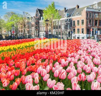 Häuser von Amsterdam, Niederlande Stockfoto
