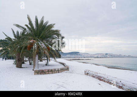 Blätter der Palmen bedeckt mit Schnee Stockfoto