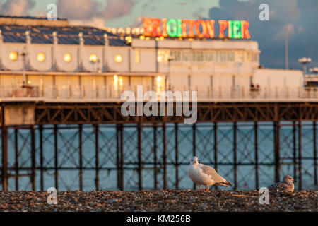 Sonnenuntergang am Pier von Brighton, East Sussex, England. Stockfoto