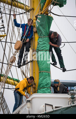 Auszubildende besteigen das Takelage des deutschen Hochschiffs Alexander von Humboldt 2 in Halifax, Nova Scotia. Stockfoto