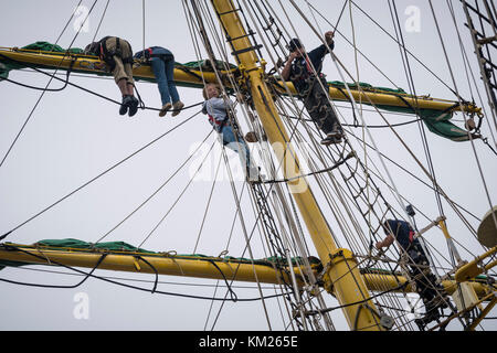 Auszubildende besteigen das Takelage des deutschen Hochschiffs Alexander von Humboldt 2 in Halifax, Nova Scotia. Stockfoto