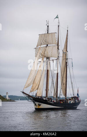 Niederländisch 3-Mast Schoner "Oosterschelde" Segeln in den Hafen von Halifax, Nova Scotia, Kanada. Stockfoto