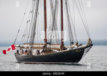 Schoner Bluenose II wird in den Hafen von Lunenburg, Nova Scotia, Kanada, im Nebel. Stockfoto