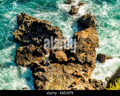 Dichtungen an Malibu, Smaragd und blaues Wasser in einer ruhigen Paradise Beach von Klippen umgeben. dume Cove, Malibu, California, CA, USA Stockfoto