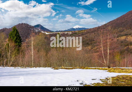 Der Frühling kommt zu verschneiten Berg. gemischter Wald am Hang mit Schnee und verwitterten Gras. schneebedeckten Gipfel des Berges in einem Abstand gesehen wird, Stockfoto