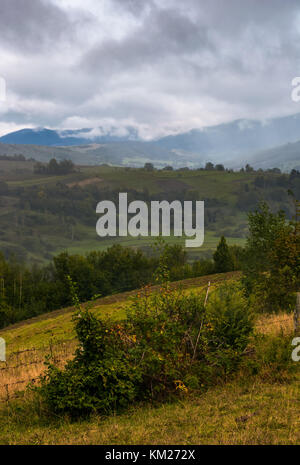 Ländliche Gegend in den Bergen an einem bewölkten Morgen neblig düster, aber wunderschöne Landschaft mit Bäumen und Feldern auf einem sanften Hügel im Herbst Stockfoto