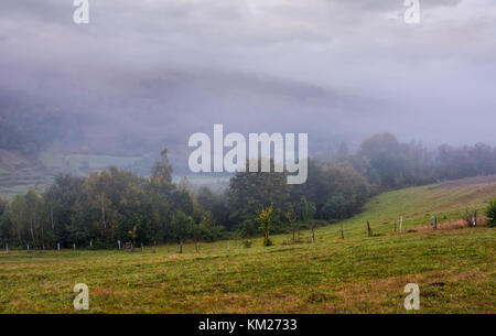 Ländliche Gegend in den Bergen an einem bewölkten Morgen neblig düster, aber wunderschöne Landschaft mit Bäumen und Feldern auf einem sanften Hügel im Herbst Stockfoto