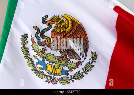 Monterrey, Nuevo Leon/Mexiko - der 18 11 2017: mexikanische nationale offizielle Emblem Stockfoto