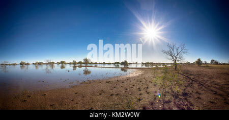 Bäume, Reflexionen und Sun flare auf See Cohen im Gibson Desert, Western Australia, Australien Stockfoto