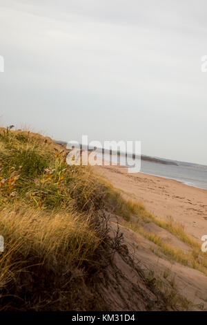 Leeren Sanddünen auf Küste von Prince Edward Island entlang Ann von Green Gables Scenic Drive, Stockfoto