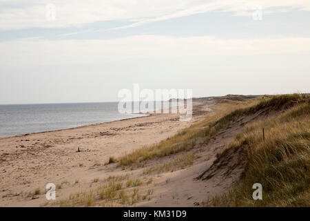 Dünen an der Küste von Prince Edward Island entlang Ann von Green Gables Scenic Drive, Stockfoto