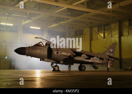 Sea Harrier, FRS 2 ZH796, bei RAF Cosford, England, Stockfoto