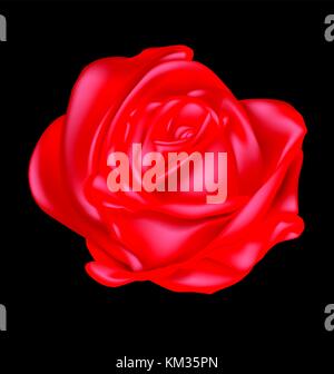 Zusammenfassung scarlet Rose Stock Vektor