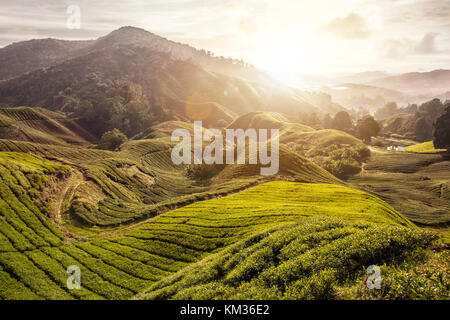 Schönen Sonnenaufgang über die Cameron Highlands in Malaysia Stockfoto