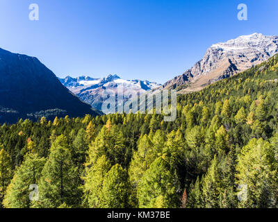 Wunderschöne grüne Landschaft mit Bäumen, mit Blick auf den Wald. Italienische Alpen, Valtellina Stockfoto