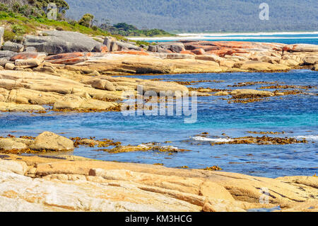 Blaues Wasser und roten Felsen farbigen von Flechten - Bicheno, Tasmanien, Australien Stockfoto