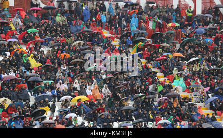 VICENZA, ITALIEN - 13. Oktober 2015: Qualifikationsrunde der UEFA-U21-Meisterschaft, Fußballspiel zwischen Italien und der Republik Irland. Zuschauer in Th Stockfoto