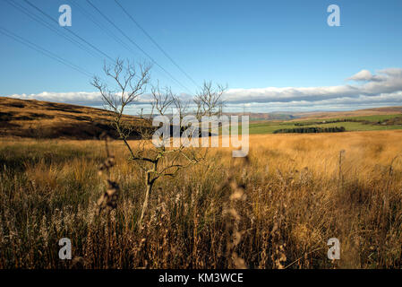 Pylone in der englischen Landschaft an einem sonnigen Tag Stockfoto