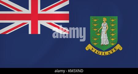 Virgin Islands wehende Flagge Stock Vektor
