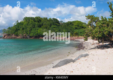 Sandstrand auf der tropischen Insel. Pointe-du-bout, Martinique Stockfoto