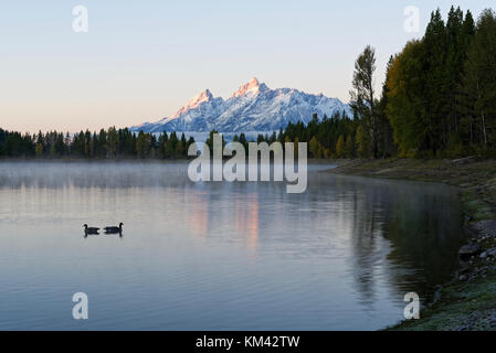 Blick auf den Teton Bergkette von Colter Bay im Grand Teton National Park, Wyoming Stockfoto