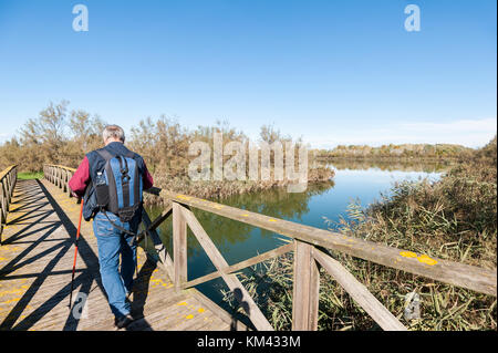 Wanderer (60 Jahre alt) auf einem Holzsteg über den Fluss. Ansicht von hinten. Stockfoto