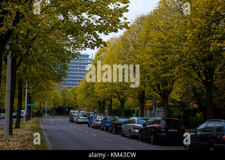 Street View der Bonner Stadt von Deutschland im Herbst. Stockfoto