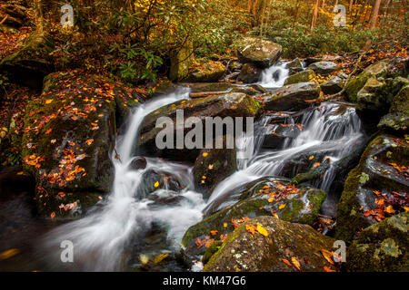 Herbst Stream in den Smokey Mountains entlang der Roaring Fork motor Nature Trail Stockfoto